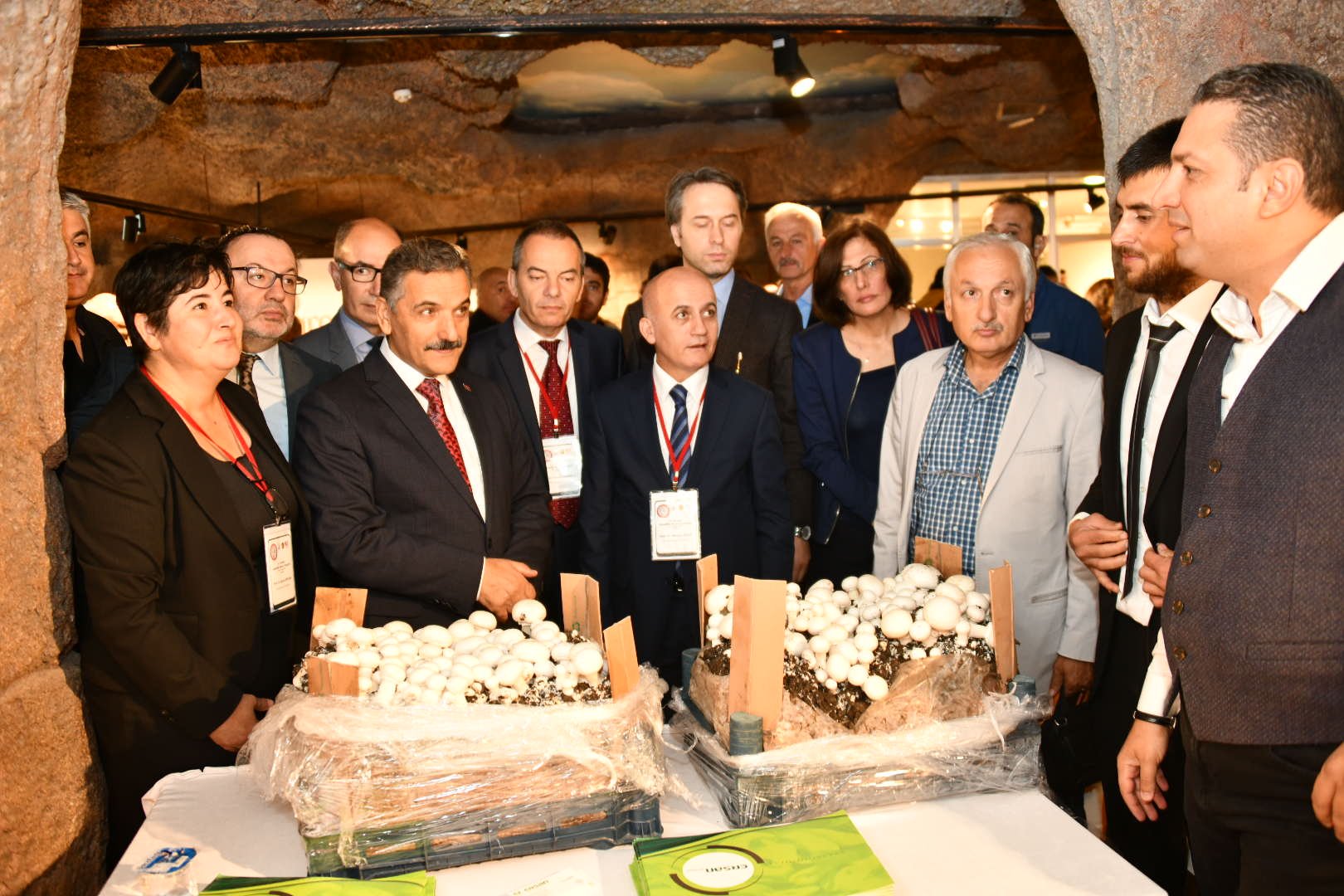  Samsun mantarı sevdi 